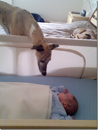 1_IMG_20120527_163411